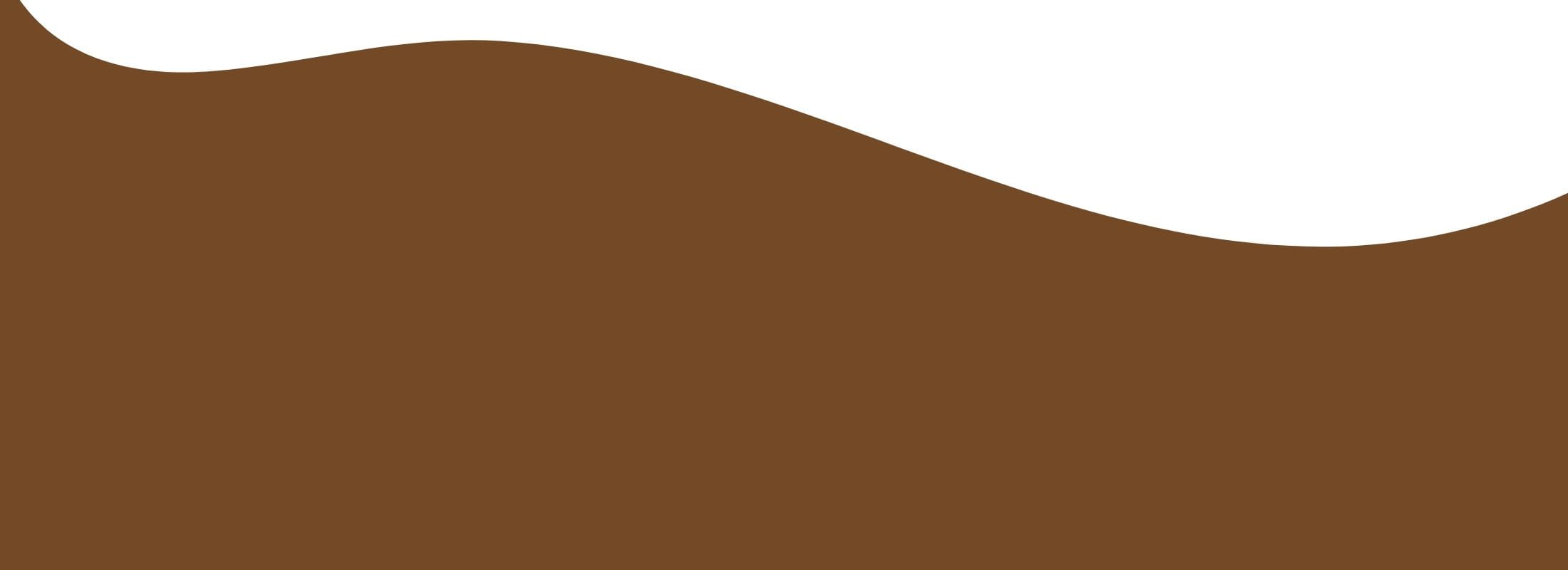 Black Friday Email Header